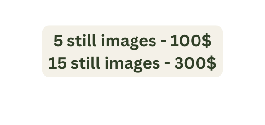 5 still images 100 15 still images 300